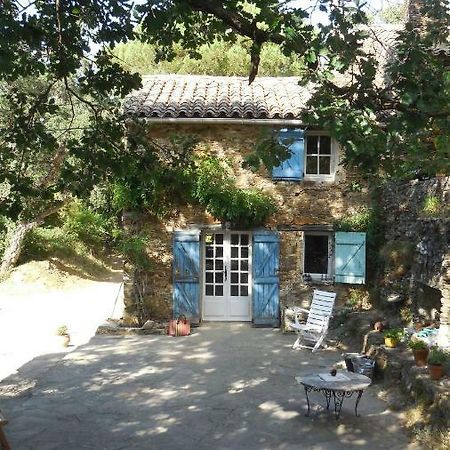 La Bergerie Villa La Garde-Freinet Exterior foto